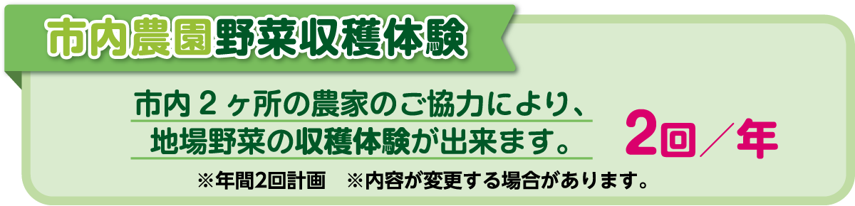 市内農園野菜収穫体験